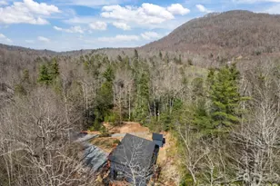 12 Bird Creek Estates Rd, Black Mountain, NC 28711 - Photo 39