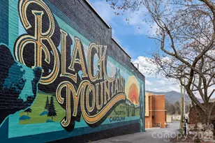 12 Bird Creek Estates Rd, Black Mountain, NC 28711 - Photo 47