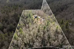 12 Bird Creek Estates Rd, Black Mountain, NC 28711 - Photo 5