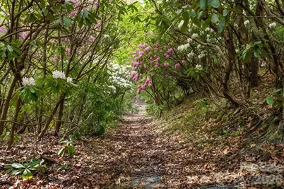 12 Bird Creek Estates Road, Black Mountain, NC 28711 - Photo 37