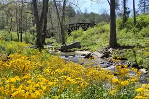 6 River Run, Asheville, NC 28804 - Photo 39