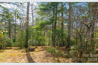 82 Red Mulberry Drive, Zirconia, NC 28790 - Photo 39