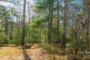 82 Red Mulberry Dr, Zirconia, NC 28790 - Photo 39