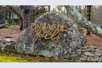 82 Red Mulberry Drive, Zirconia, NC 28790 - Photo 47