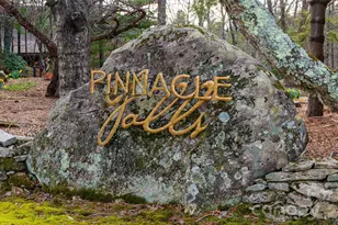 82 Red Mulberry Dr, Zirconia, NC 28790 - Photo 47