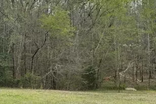 1216 Raxter Rd, Edgemoor, SC 29712 - Photo 13