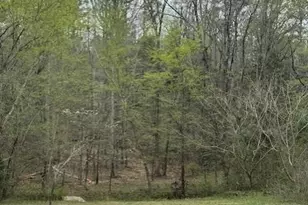 1216 Raxter Rd, Edgemoor, SC 29712 - Photo 15