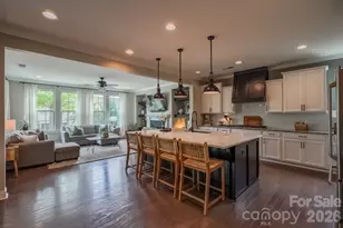 17005 Luvera Ln, Charlotte, NC 28278 - Photo 5