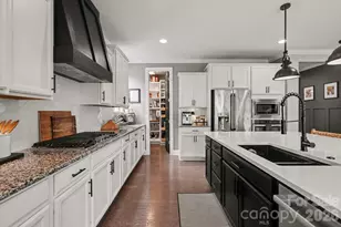 17005 Luvera Ln, Charlotte, NC 28278 - Photo 7