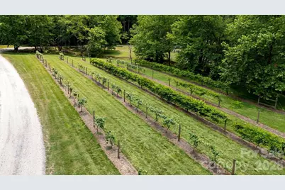 4420 Walnut Ridge Drive, Lenoir, NC 28645 - Photo 19