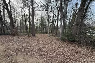 L8-9 Buffalo Shoals Rd, Statesville, NC 28677 - Photo 1