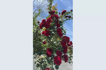 44134 Vickers Store Road, Albemarle, NC 28001 - Photo 45