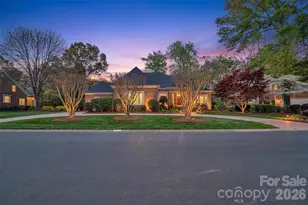 113 Mary Mack Ln, Fort Mill, SC 29715 - Photo 1