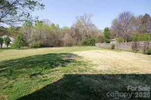 10219 Roundleaf Dr, Charlotte, NC 28213 - Photo 33