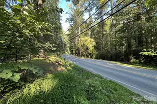 2905 Kanuga Rd, Hendersonville, NC 28739 - Photo 21