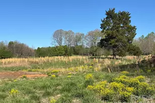 Lot #4 Prince Rd, Columbus, NC 28722 - Photo 1