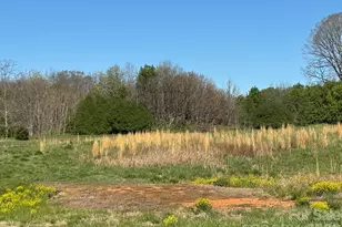 Lot #4 Prince Rd, Columbus, NC 28722 - Photo 1