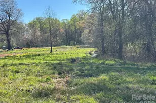 Lot #4 Prince Rd, Columbus, NC 28722 - Photo 1