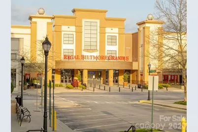 101 White Ash Drive E, Asheville, NC 28803 - Photo 39