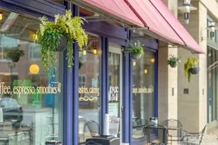 101 White Ash Dr E, Asheville, NC 28803 - Photo 41