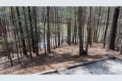 503 Larkhaven Drive, Nebo, NC 28761 - Photo 11