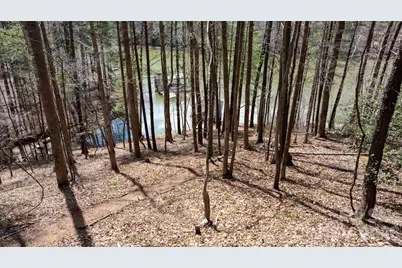 503 Larkhaven Drive, Nebo, NC 28761 - Photo 13