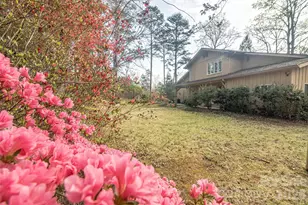 3951 Maple Creek Rd, Rutherfordton, NC 28139 - Photo 39