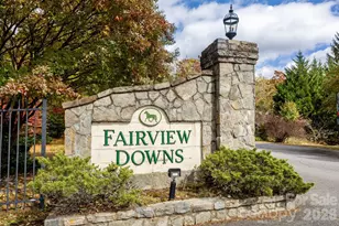 403 Canonero Dr, Fairview, NC 28730 - Photo 45