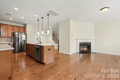 6650 Berewick Commons Parkway, Charlotte, NC 28278 - Photo 3