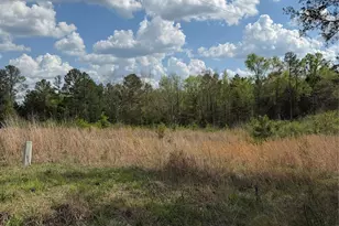 Tbd Springwood Lakes Rd, Chester, SC 92706 - Photo 1