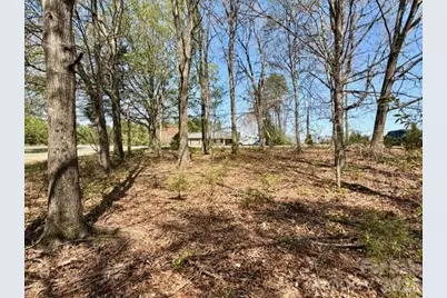 3048 Spencer Road NE, Conover, NC 28613 - Photo 9