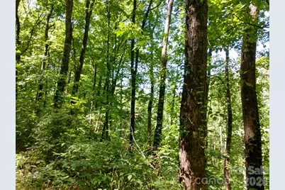 00 Hudson Valley Drive #11, Waynesville, NC 28786 - Photo 9