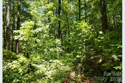 00 Hudson Valley Drive #11, Waynesville, NC 28786 - Photo 5