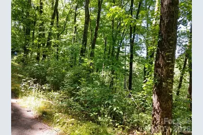 00 Hudson Valley Drive #11, Waynesville, NC 28786 - Photo 11