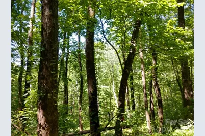 00 Hudson Valley Drive #11, Waynesville, NC 28786 - Photo 7