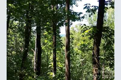 00 Hudson Valley Drive #11, Waynesville, NC 28786 - Photo 3