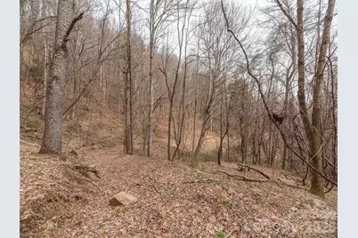 000 Sigogglin Road #17, Waynesville, NC 28786 - Photo 7