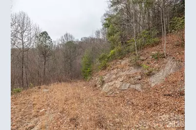 000 Sigogglin Road #17, Waynesville, NC 28786 - Photo 3