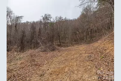 000 Sigogglin Road #17, Waynesville, NC 28786 - Photo 5