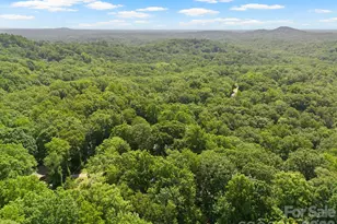 56 Cardinal Cir, Tryon, NC 28782 - Photo 31