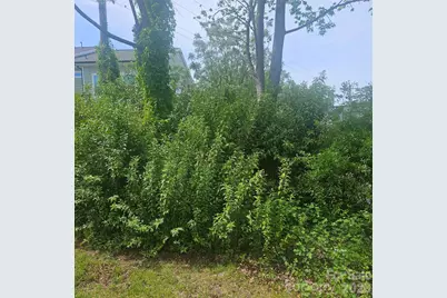1040 Drummond Avenue, Charlotte, NC 28205 - Photo 7