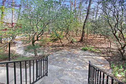 540 Chickadee Lane, Brevard, NC 28712 - Photo 41