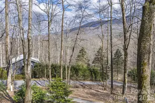 1426 Fern Trail, Waynesville, NC 28786 - Photo 27