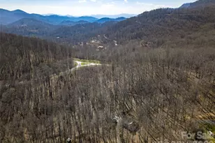 1426 Fern Trail, Waynesville, NC 28786 - Photo 39