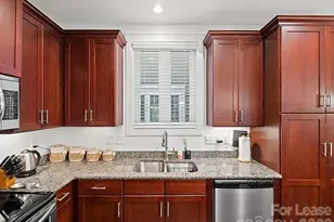 20019 Lamp Lighters Way, Cornelius, NC 28031 - Photo 3