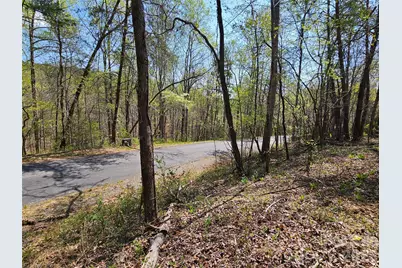 0 Whitney Boulevard #57, Lake Lure, NC 28746 - Photo 3