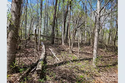 0 Whitney Boulevard #57, Lake Lure, NC 28746 - Photo 5