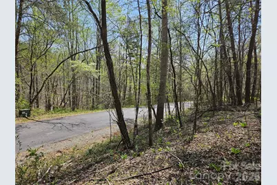 0 Whitney Boulevard #57, Lake Lure, NC 28746 - Photo 9