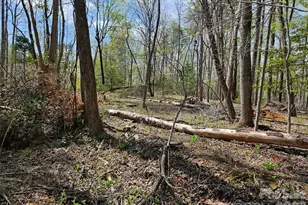 0 Whitney Blvd, Lake Lure, NC 28746 - Photo 1