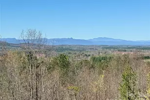 500 Grandview Peaks Dr, Nebo, NC 28761 - Photo 9